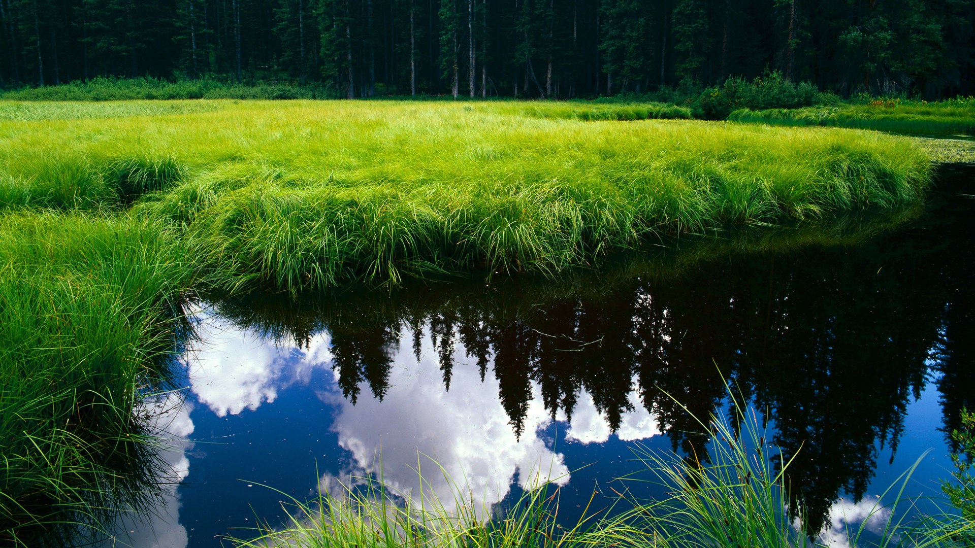 开云体育中国官网-_北京体育嘉年华：全民参与的运动盛事_，北京体育比赛活动