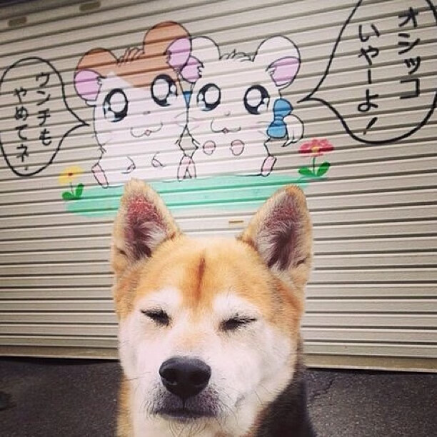 kaiyun登录入口-_城市高空跑步：在摩天楼之间飞驰_，高空城市俯瞰图