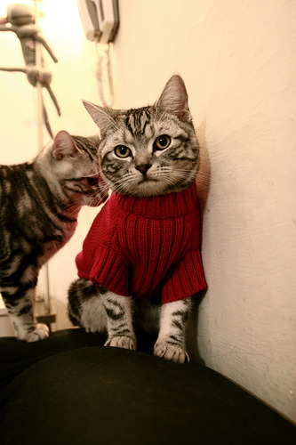 开云-_热火铁血防守，击退联盟劲敌_，热血铁军