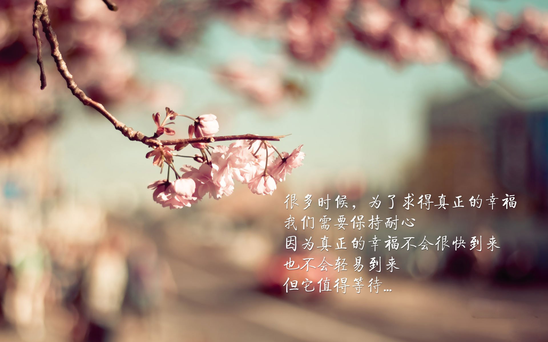 开云-史诗级比赛回顾：那些经典瞬间永远难忘，回顾比赛精彩瞬间