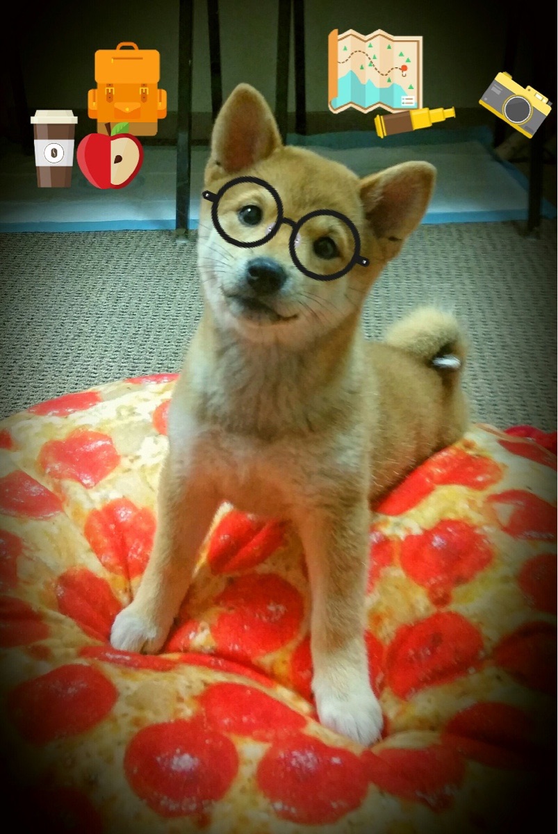 开云APP-影响力排行榜：体育界最具正能量的NBA明星榜单，最优秀的nba运动员