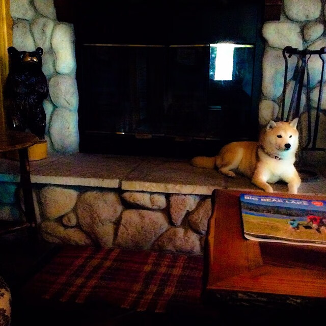 开云·体育官网APP下载-成都蓉城新援亮相，锋线火力值得期待，四川成都蓉城