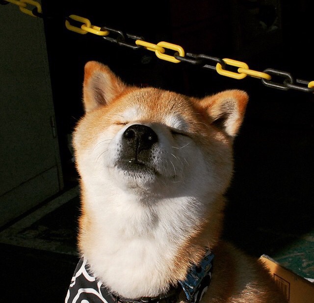 kaiyun登录入口-球迷创意：打造属于自己的“最佳阵容”投票活动，球迷氛围最好的球队