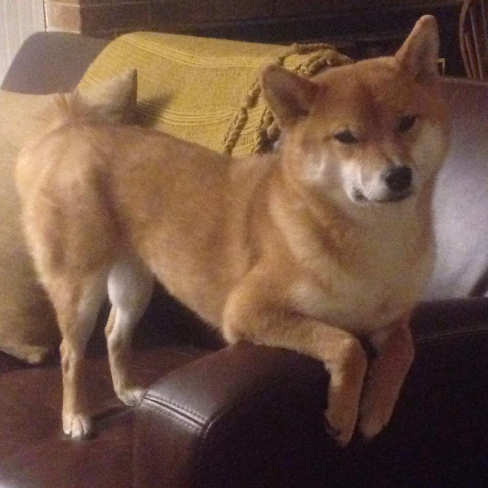 kaiyun开云·官方网站-皇马关键战全面奏凯，保持积分榜领先，皇马合集