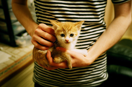 开云入口-皇家马德里完胜巴塞罗那，领跑积分榜，皇家马德里vs巴塞罗那7比1