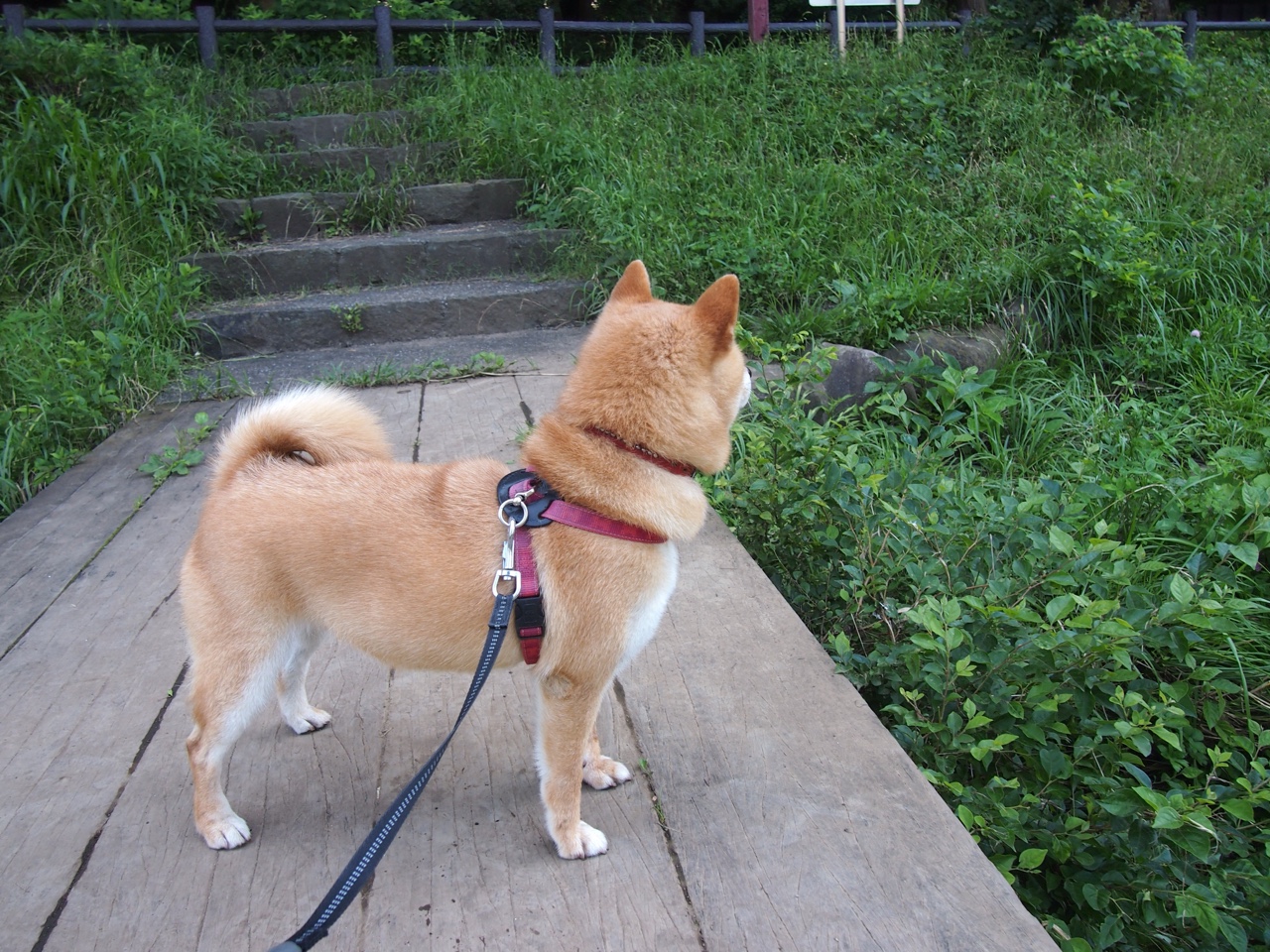 kaiyun体育app-赛季最震撼的绝杀时刻，谁的投篮最令人窒息？，本赛季投篮能力前十