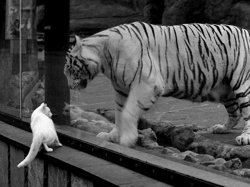 kaiyun网站-赛季大事记：从历年来最难忘的瞬间说起，看一下赛季