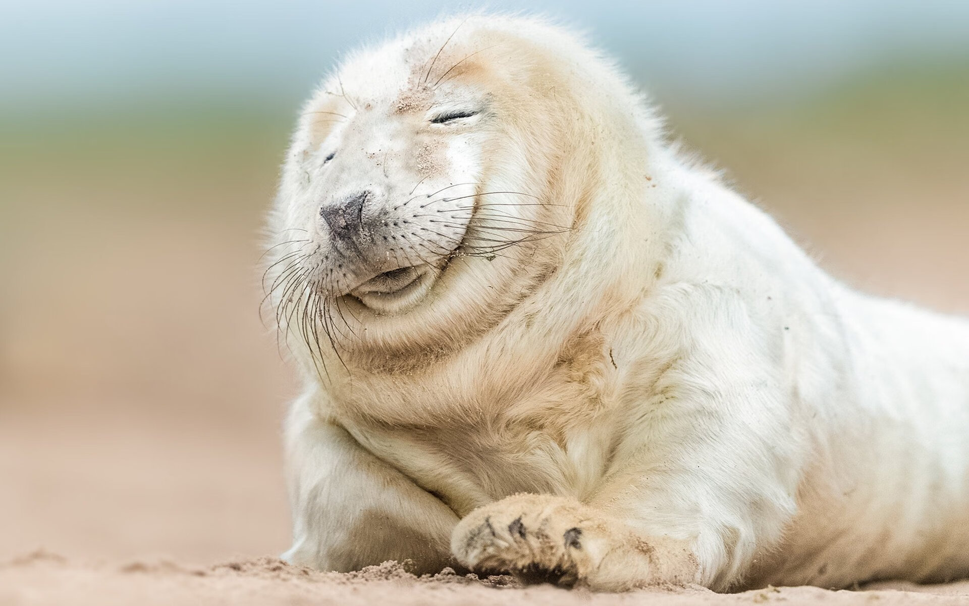 kaiyun-逆袭“黑马王”实现欧洲逆转奇迹，黑马逆袭是什么意思