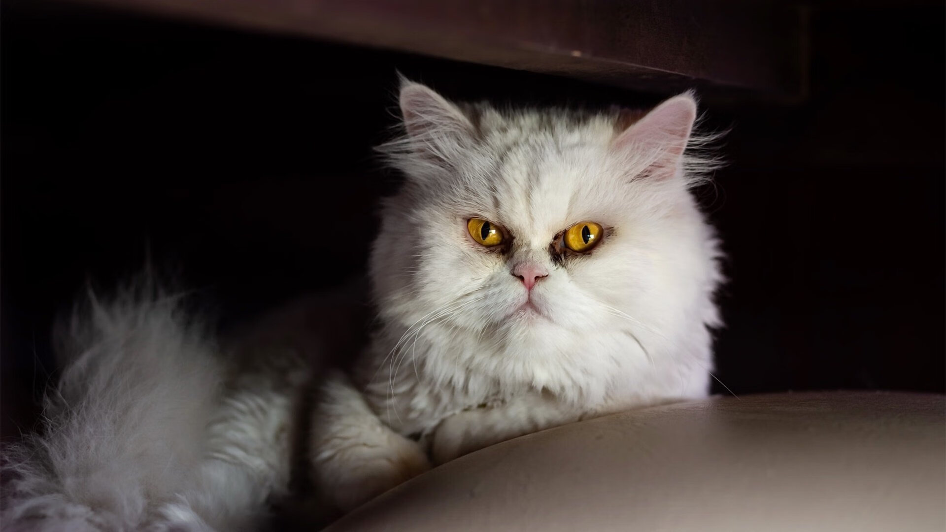 开云首页登录-青少年“梦想接力”公益活动在全国多个城市同步推进，助力青少年成长公益体验活动