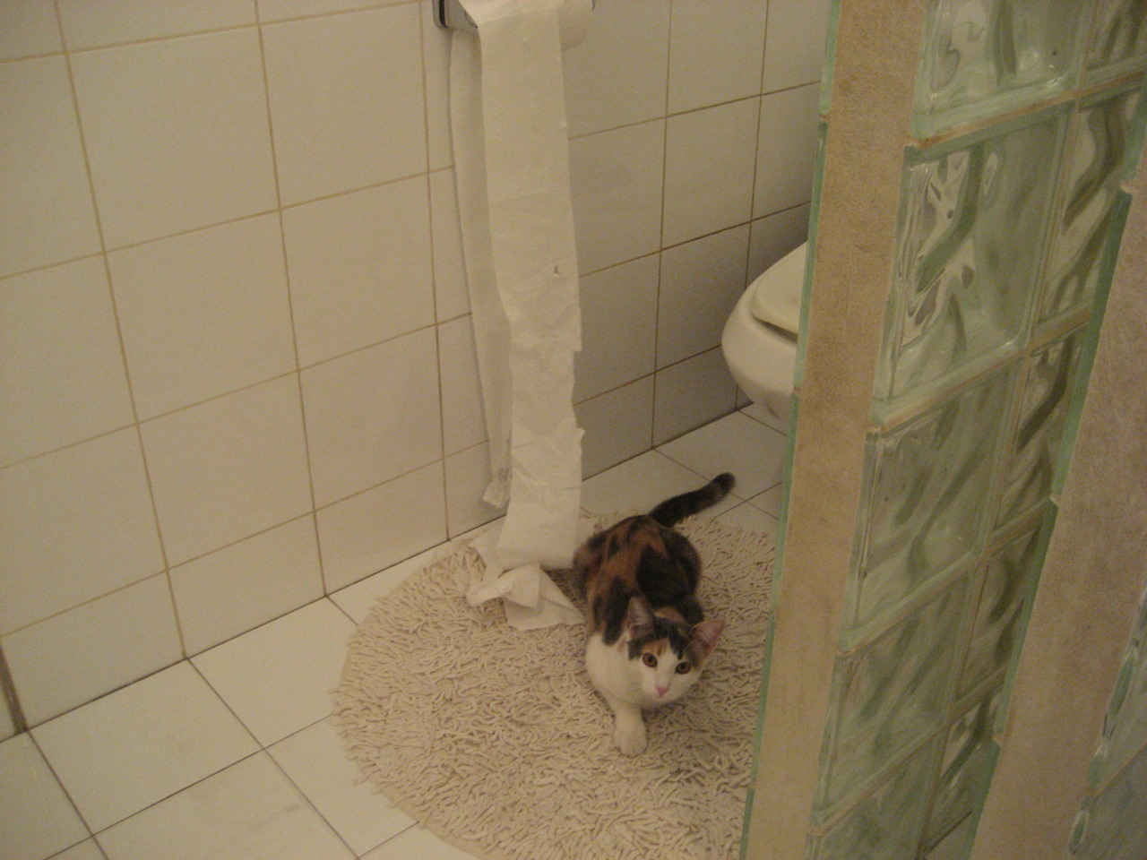 kaiyun开云·官方网站-曼联0-1阿斯顿维拉，创最差战绩，曼联阿斯顿维拉视频直播