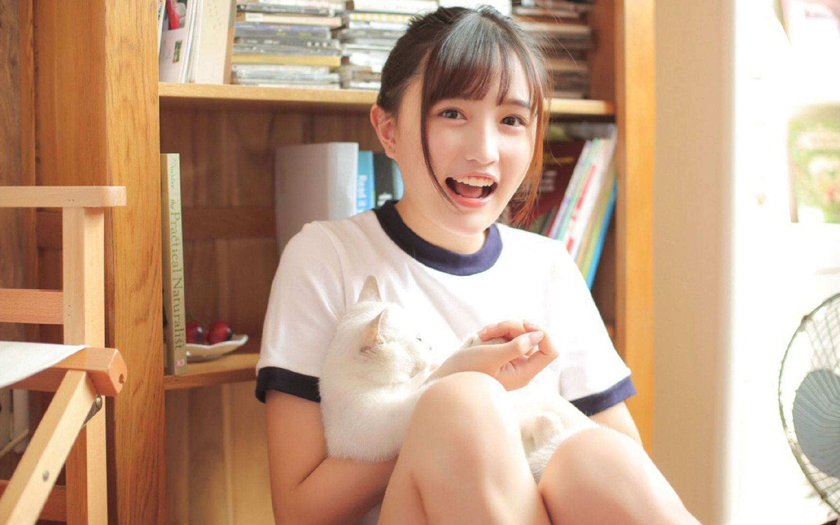 开云在线直播-体育赛事风险预警系统，体育赛事风险预案