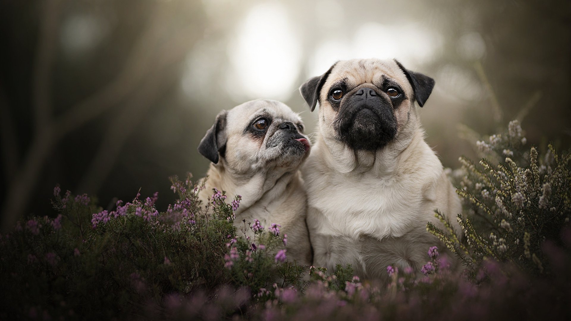 开云官方网站-足球产业相关专业人才教育尚未普及，足球产业管理