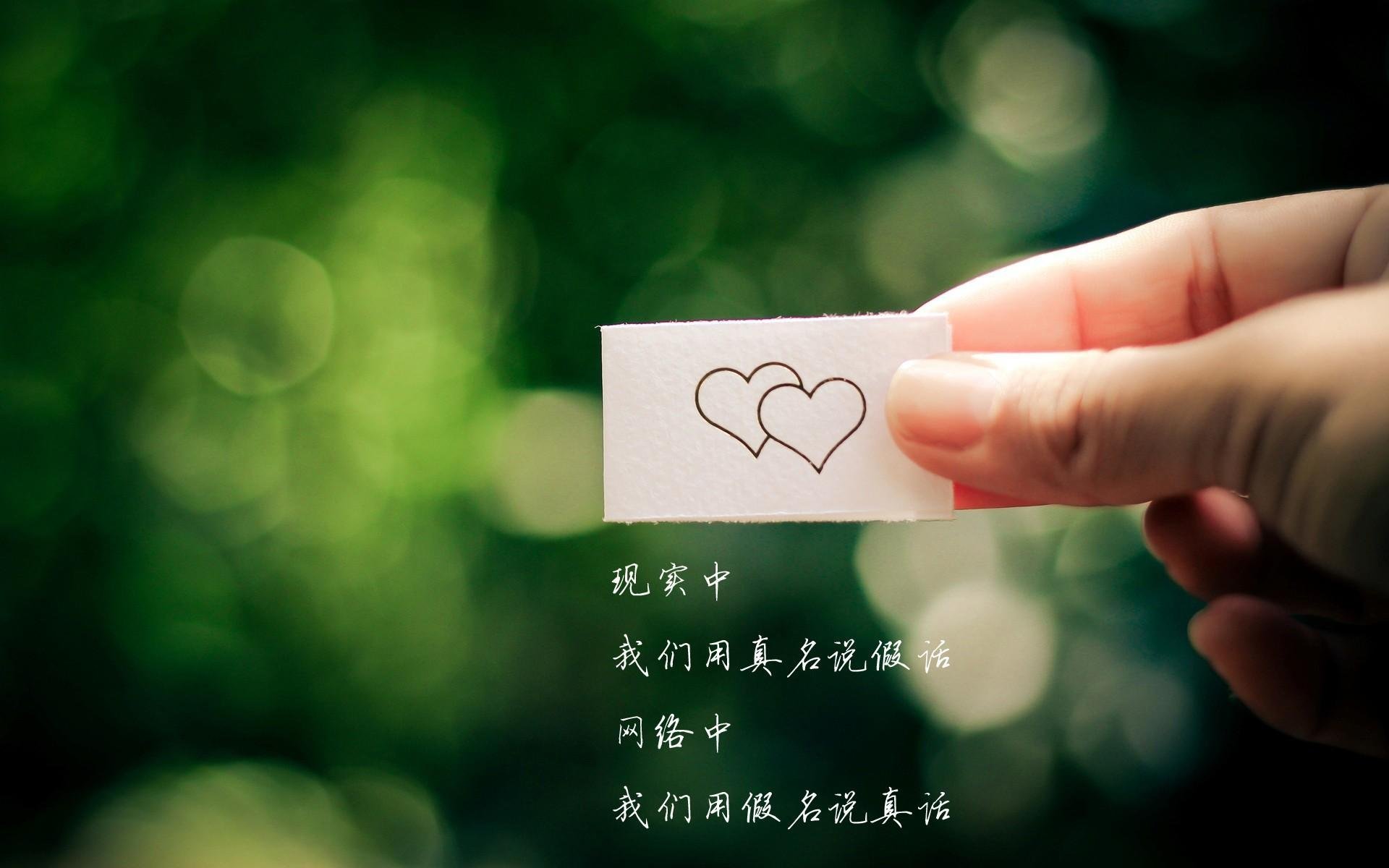 开云官方-美洲杯激情四射：明星联袂演绎精彩！，美洲杯完整视频