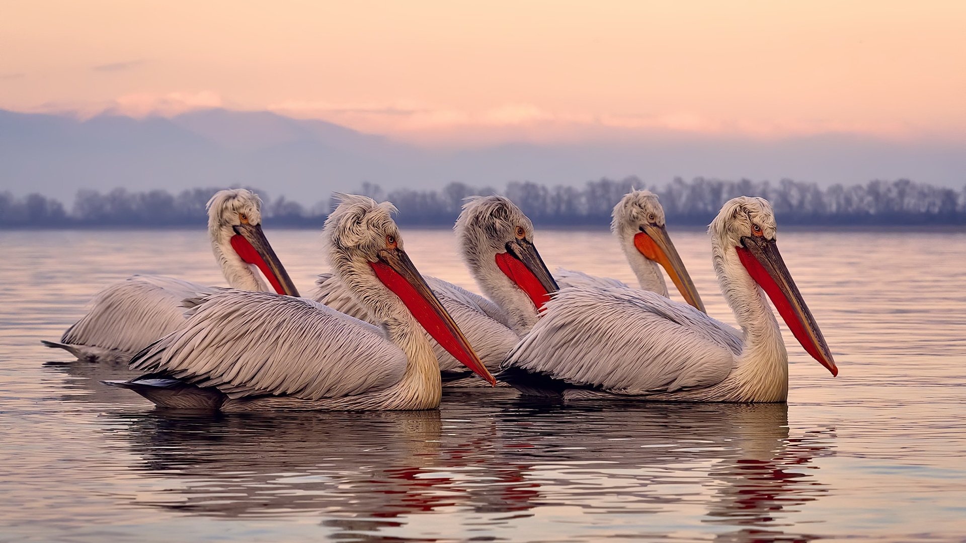 开云体育中国官网-英超快节奏攻防：战术变换中不断带来惊喜，英超 节奏快