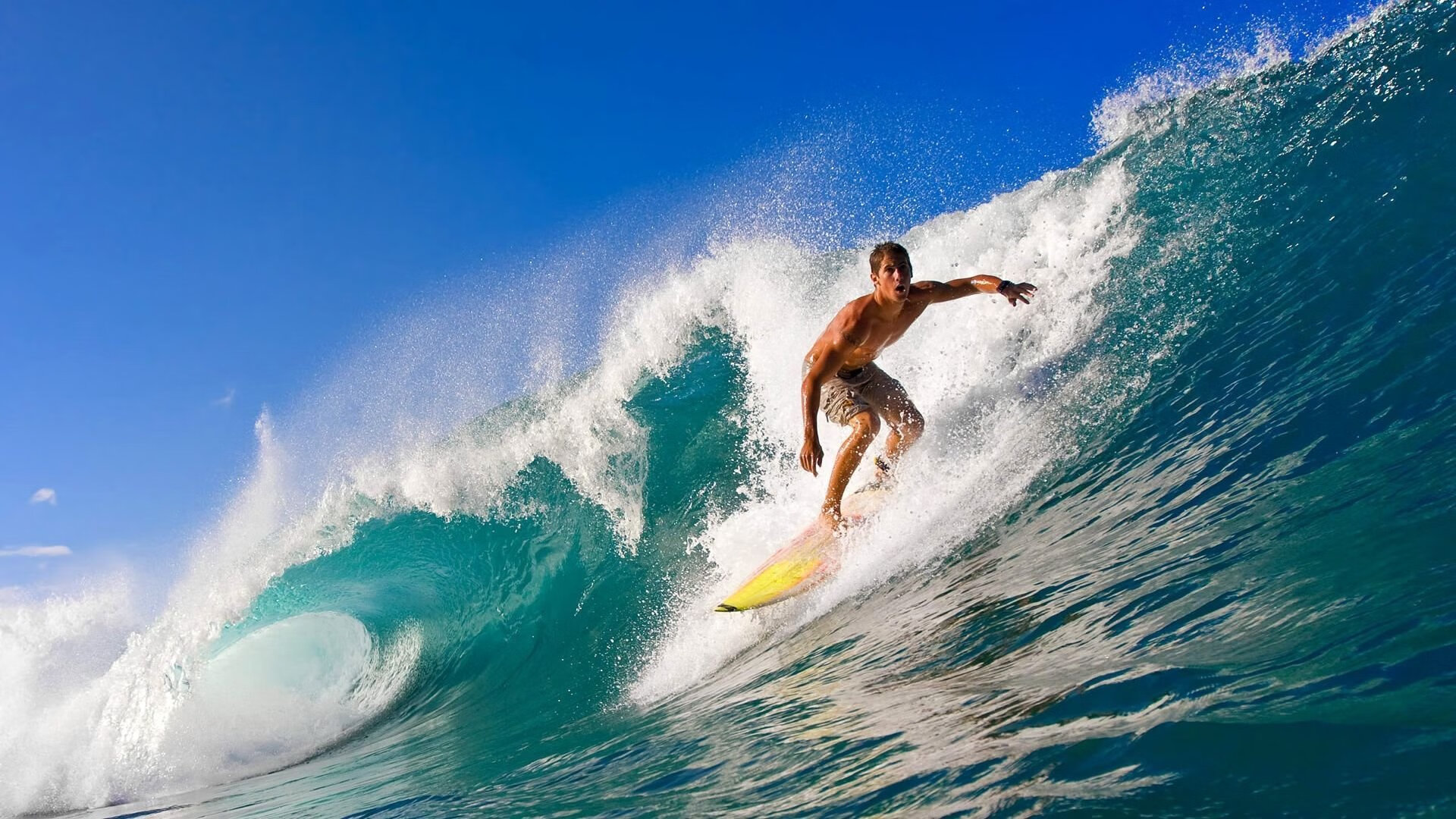 开云体育中国官网-“重返巅峰：曾经的冠军球队如何再创辉煌？”，重返巅峰2014